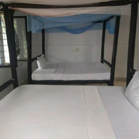Appartement Tayana Place à Kizimkazi Extérieur photo