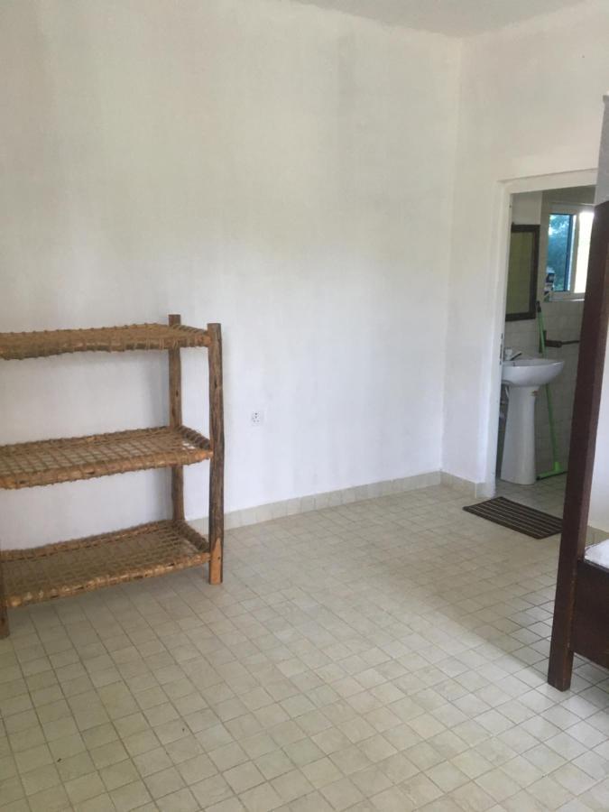 Appartement Tayana Place à Kizimkazi Extérieur photo