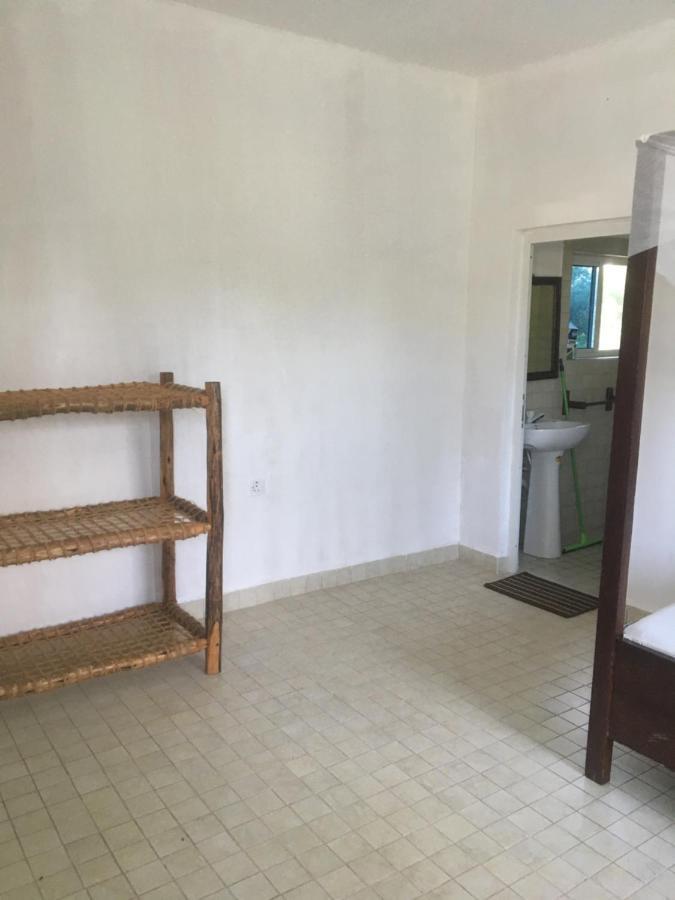 Appartement Tayana Place à Kizimkazi Extérieur photo