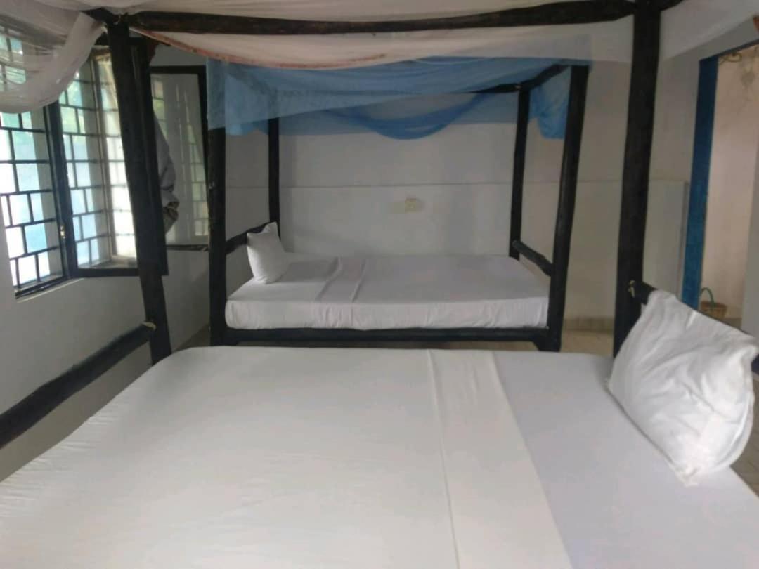 Appartement Tayana Place à Kizimkazi Extérieur photo